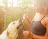 Healthy Pups Start Here: Vet-Recommended Dog Supplements You Can Trust