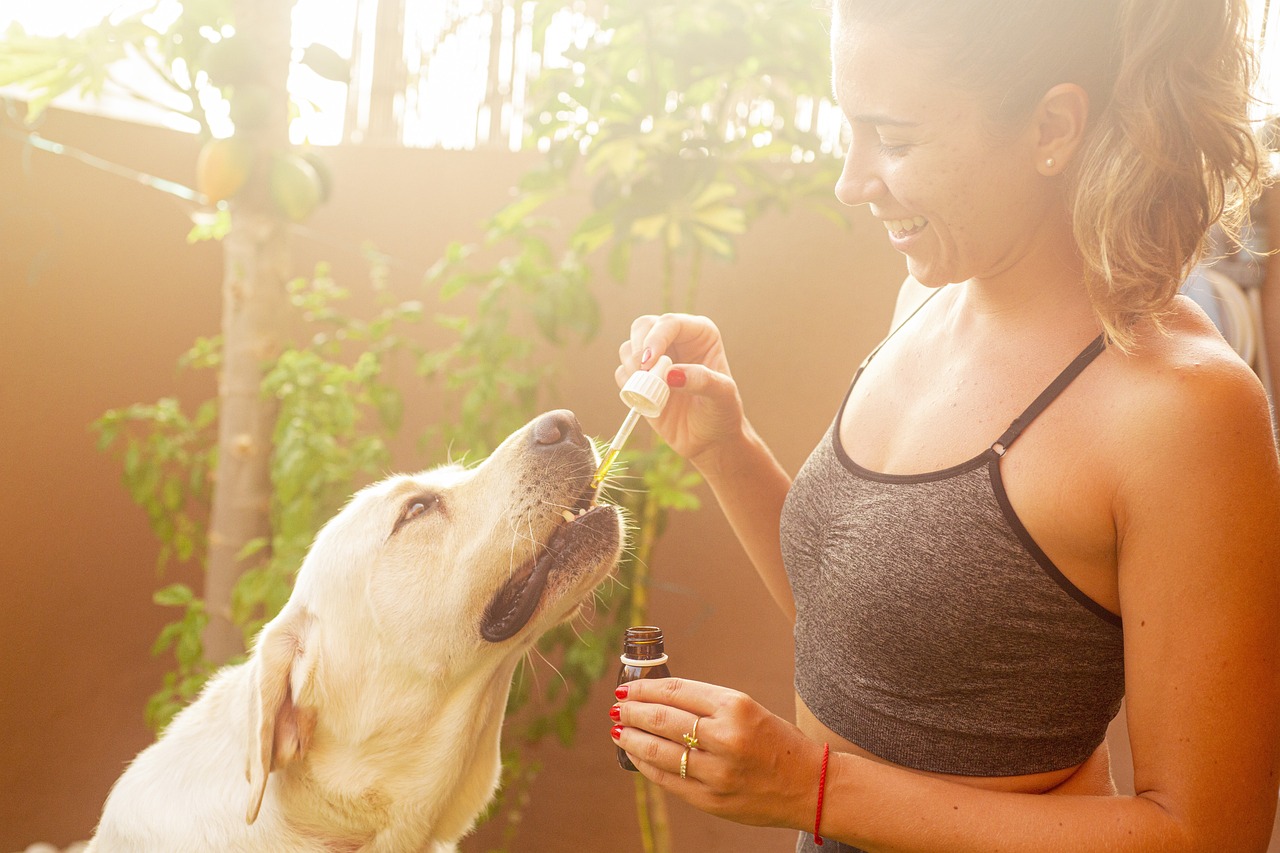 Healthy Pups Start Here: Vet-Recommended Dog Supplements You Can Trust