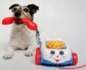 Indestructible Dog Toys and Tough Gear for Your Pup