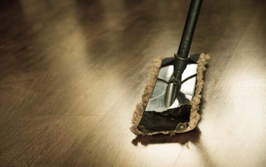 From Paws to Floors: The Safest Cleaning Products for Pet-Loving Homes From Paws to Floors: The Safest Cleaning Products for Pet-Loving Homes