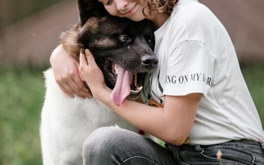 New to Pet Parenting? Here Are the Best Supplies to Start With