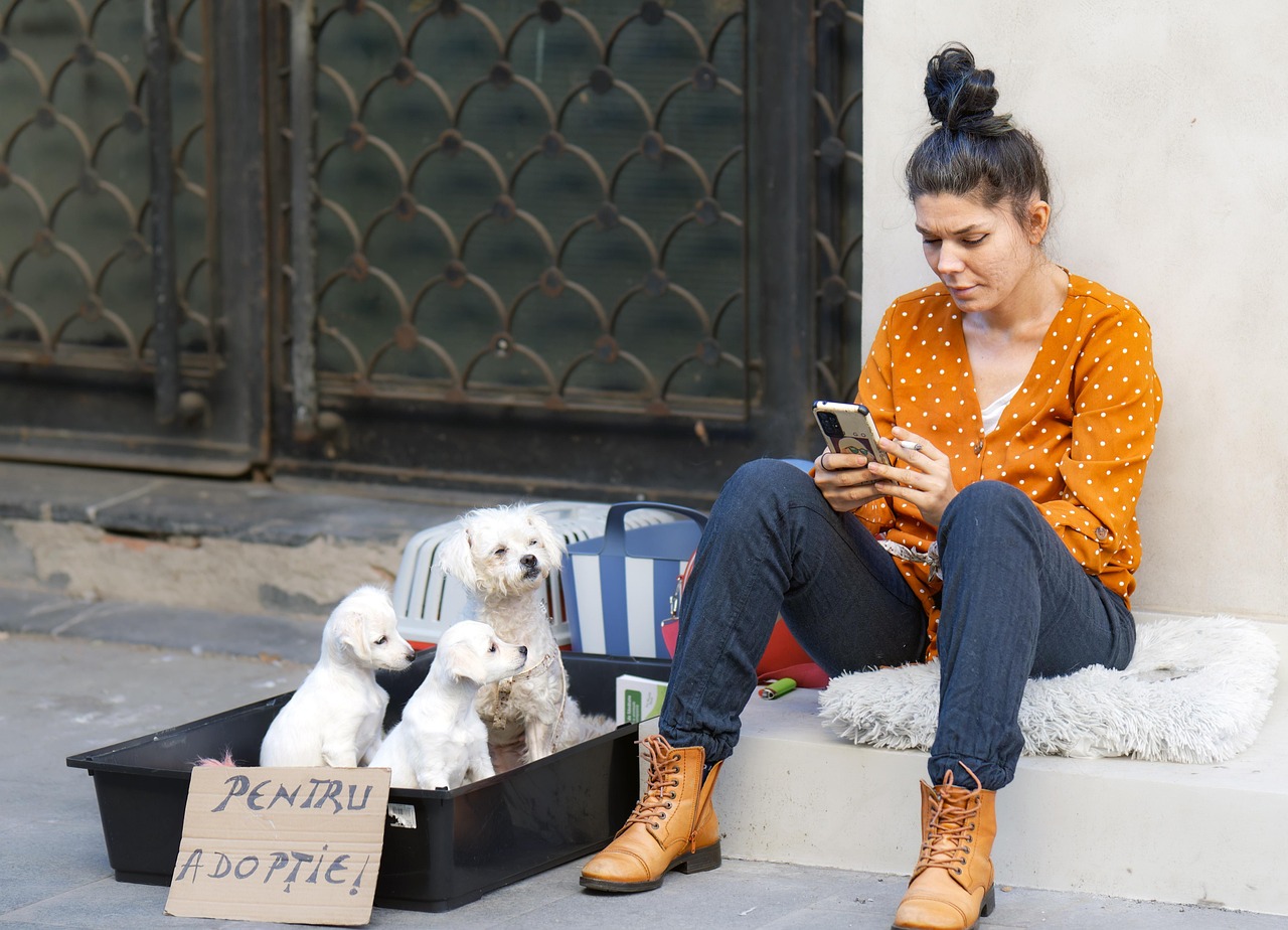 🐾 Should I Adopt or Buy From a Breeder?