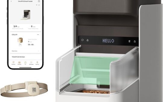 Catching the Kitchen Bully: 2026s Best RFID Feeders for Multi-Cat Homes Catching the Kitchen Bully: 2026s Best RFID Feeders for Multi-Cat Homes