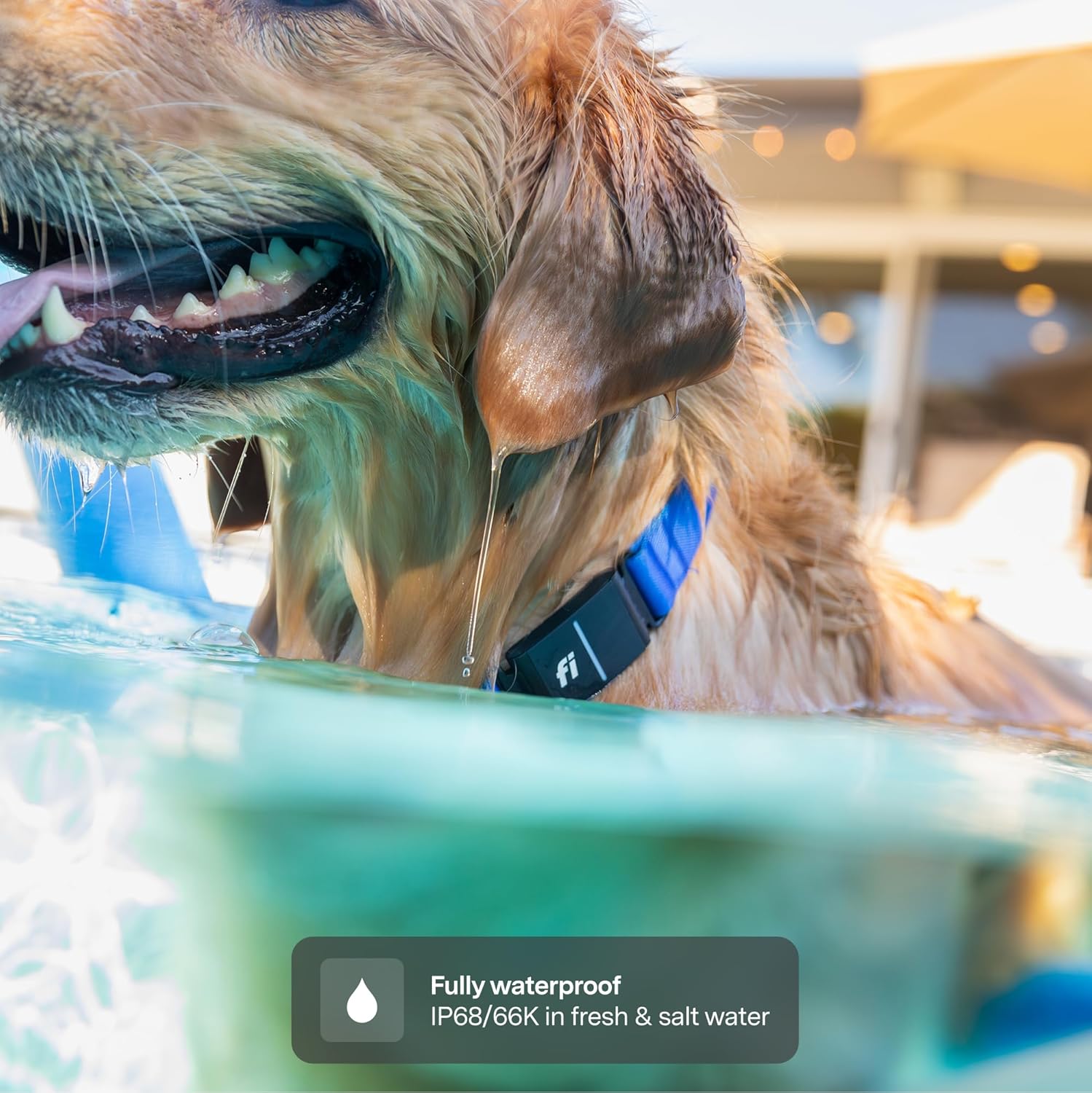 Fi Series 3 Review: The 2026 “Invisible Leash” for Your Resident Houdini