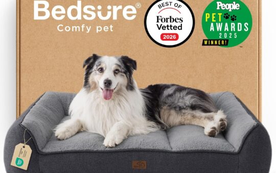 Bedsure Supportive Dog Couch Review: The 2026 Secret to Better “Old Dog” Mornings